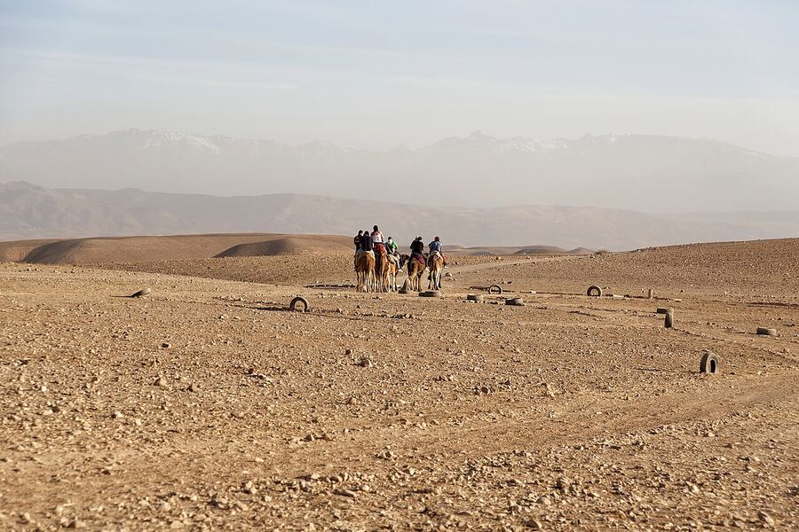 Day 3 · Beyond the walls — Marrakech
